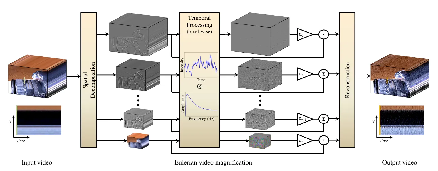 Overview of the Eulerian video magnification framework