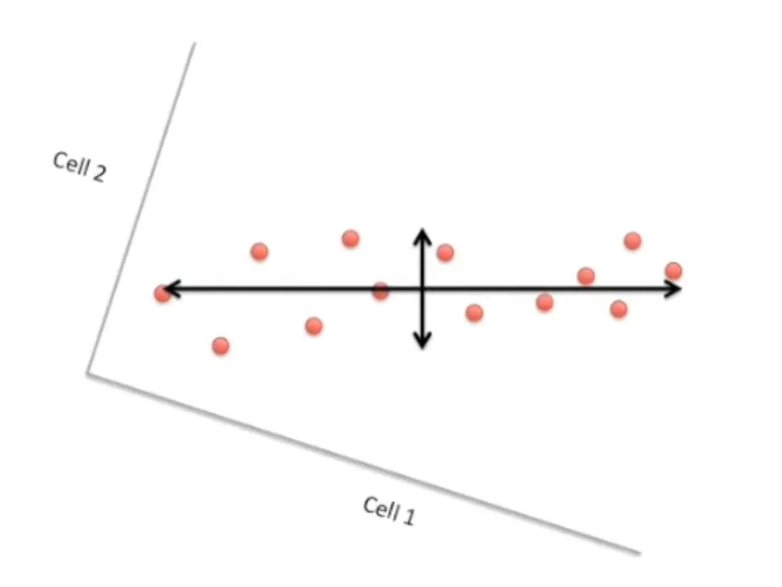 make new X and Y axes
